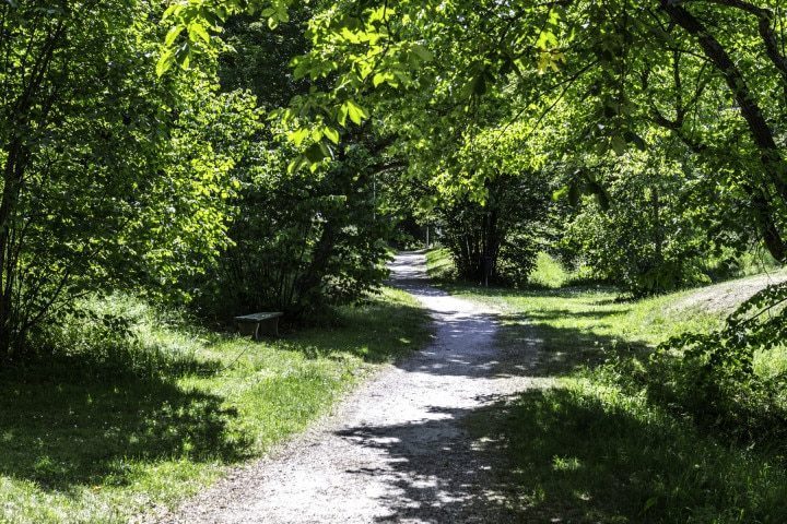 Friluftsliv och naturmiljö Nykvarn